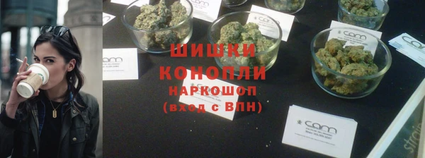 PSILOCYBIN Богородицк