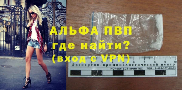 PSILOCYBIN Богородицк