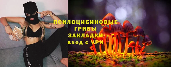 PSILOCYBIN Богородицк