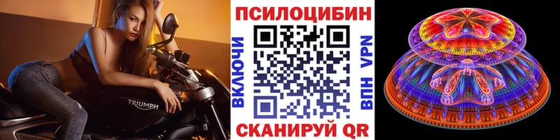ссылка на мегу сайт  Тихвин  Галлюциногенные грибы мицелий 